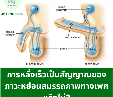 การหลั่งเร็วเป็นสัญญาณของภาวะหย่อนสมรรถภาพทางเพศหรือไม่?